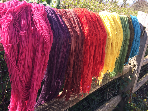 hanks of wool drying in the sun