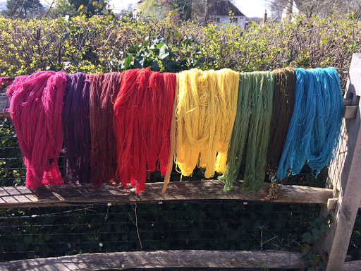 hanks of coloured wool