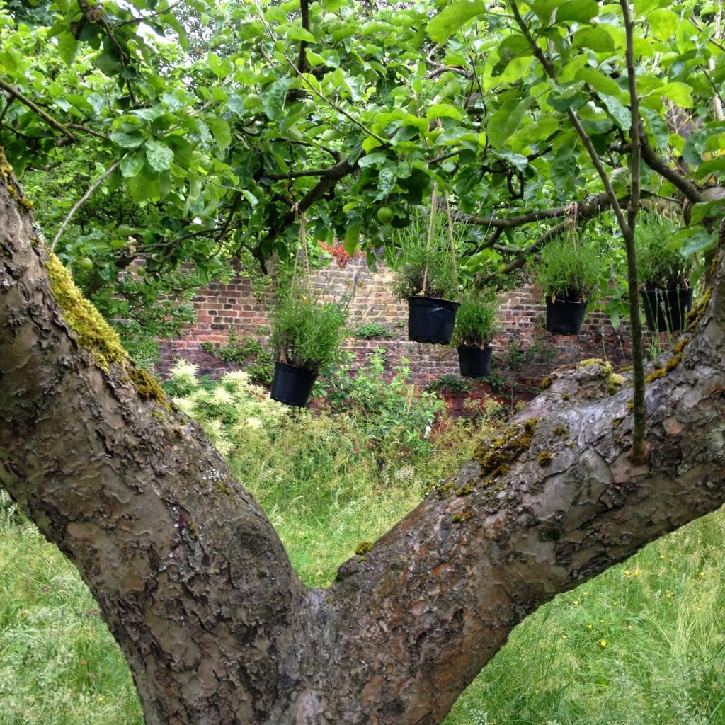 Open garden squares weekend - Hampstead garden