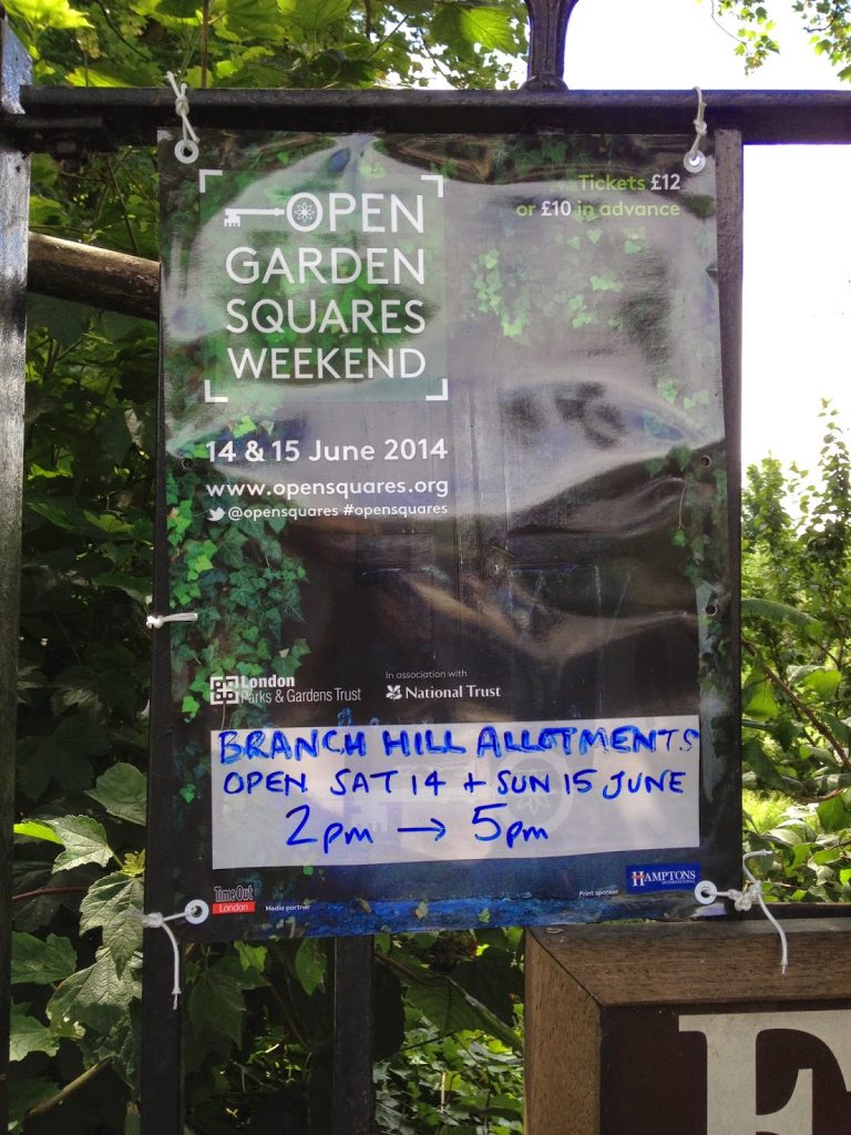 Open garden squares weekend - Branch Hill Allotments, Hampstead 