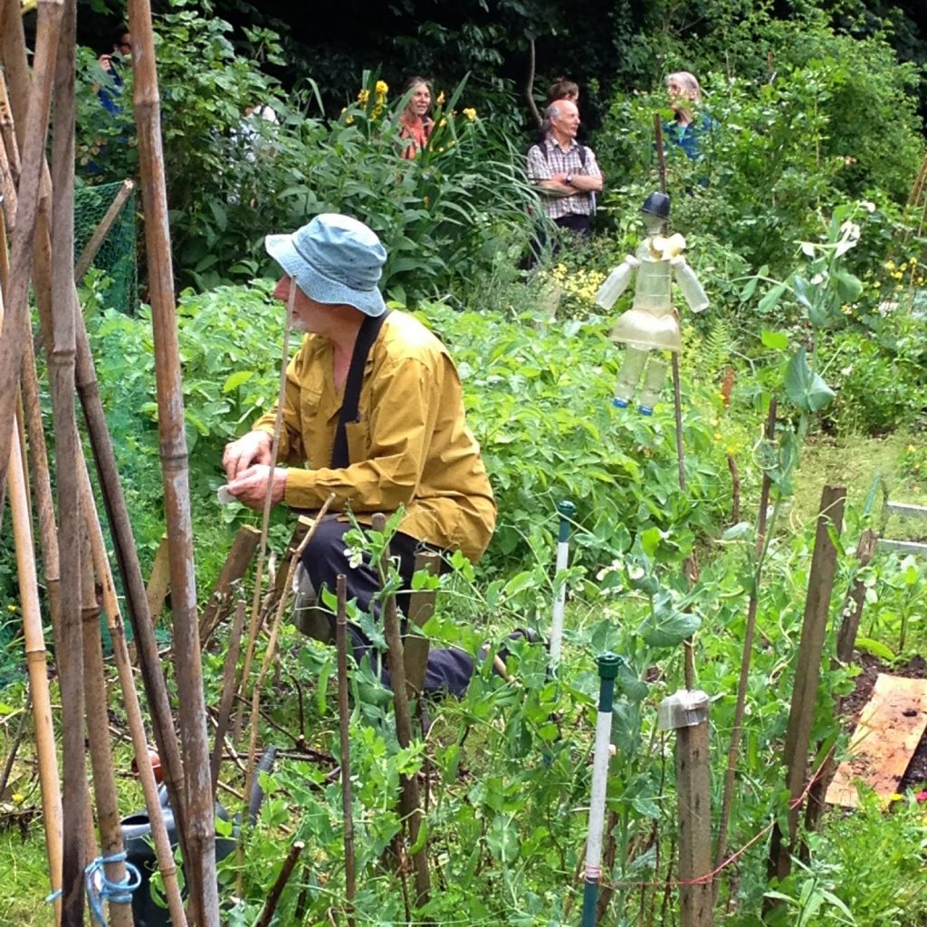 Open garden squares weekend - Branch Hill Allotments, Hampstead 