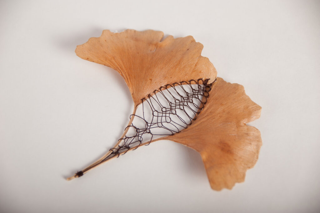 Ginko leaves embroidered using Insertion stitches by Hillary Waters Fayle