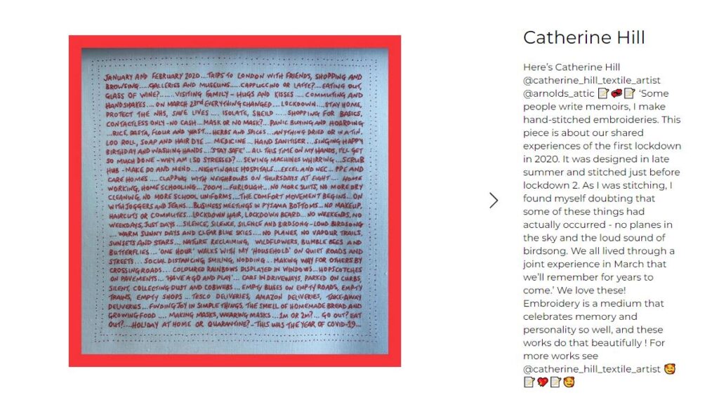 screen shot - exhibition preview featuring Covid 19 artwork by catherine hill